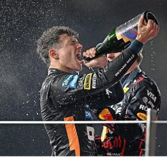 Frischgebackener Weltmeister: Lando Norris. Getty